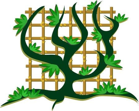 Tree and Bamboo Gridのイラスト素材