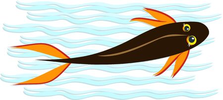 Black Koi Goldfishのイラスト素材