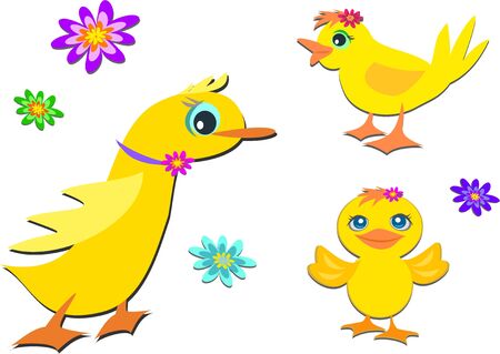 Mix of Ducks and Flowers