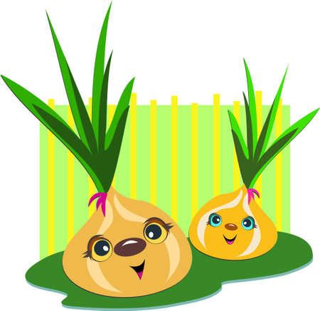 Onion Pair with Striped Backgroundのイラスト素材