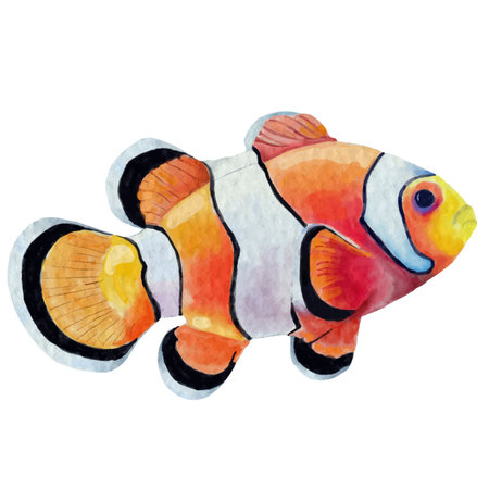 clown fish element design, watercolor style.のイラスト素材