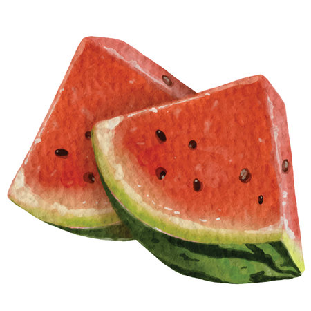 watercolor style watermelon element design for templates.のイラスト素材