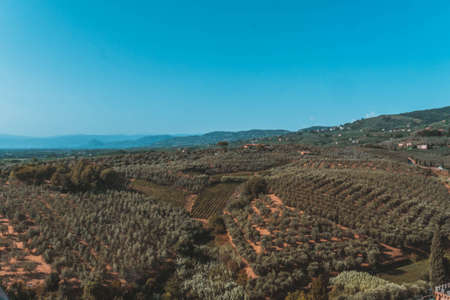 The small medieval village of Vinci in Tuscanyの写真素材
