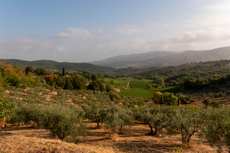Landscape panorama from Tuscany, in the Chianti region. Italy.の写真素材