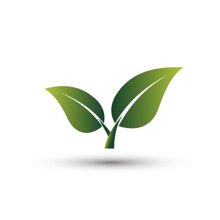 Green leaves - vector illustrationのイラスト素材