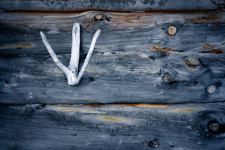 Weathered wooden log cabin wall closeup, natural woodgrain rustic texture, Nordic wilderness, aged timber heritage building in winter, Finnish Arctic Circle, Tarvantovaara Wilderness Area, Finlandの写真素材