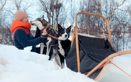 Man petting his husky sled dog in snowy wilderness during winter adventure travel, with sleigh in background, bond between man and dog, Finnish Arctic Circle, Tarvantovaara Wilderness Area, Finlandの写真素材