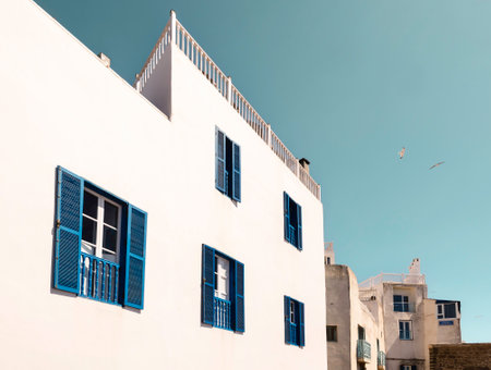 white buildings with blue shutters in essaouira medina near the port, morocco, with a bright blue sky and seagulls flying above, showcasing traditional architecture on a sunny day in the historic cityのeditorial素材