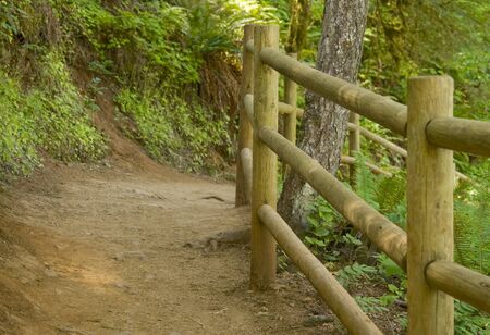 Wooden rail leading down path for protection from cliffの写真素材