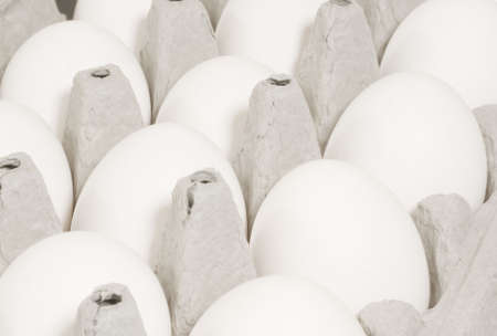 Close up of white chicken eggs in cartonの写真素材