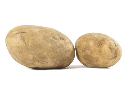 two potatoes on a white background の写真素材