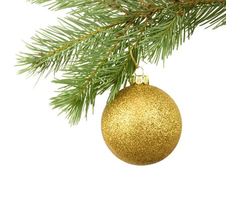 Golden bauble hanging on branch with white backgroundの写真素材