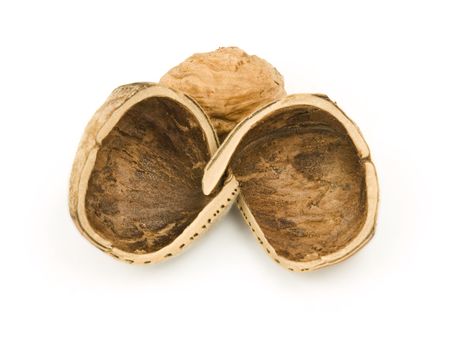 Hazel nuts on a white background with shell