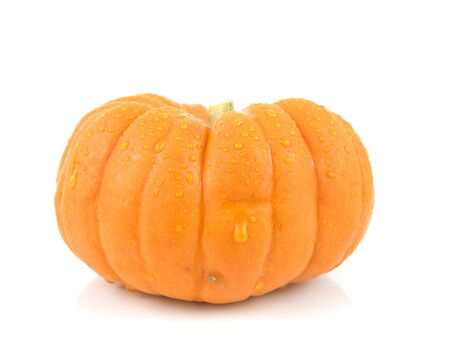 Small gourd pumpkin on a white backgroundの写真素材