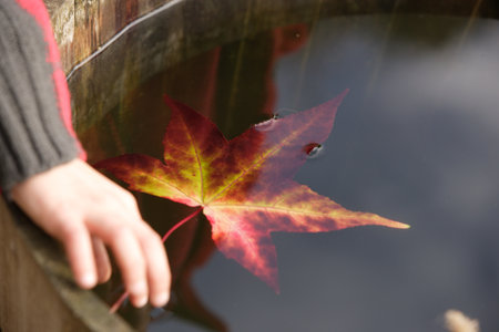 Calm water colored by the natural light of the day and decorated by a hand that gives all another charm to the photograph.の写真素材