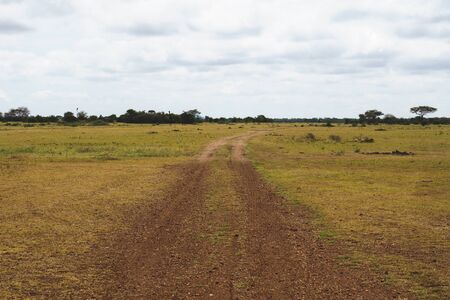 muddy road in serengeti