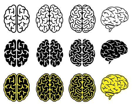 Set of human brains.のイラスト素材
