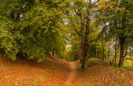 A deserted footpath leads through woodland, as the autumn colors are on showの写真素材