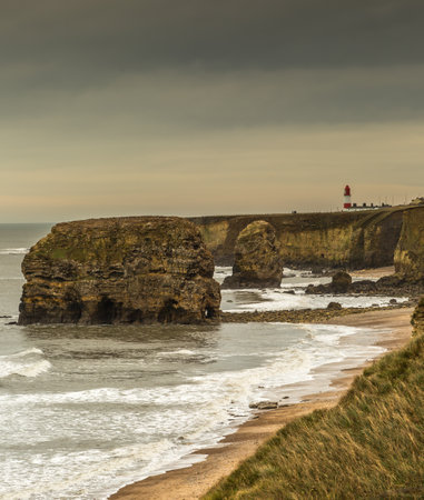 The view along Marsden Bay near Sunderland, of the cliffs and the Sandstone Sea stacks, as the tide comes inの写真素材