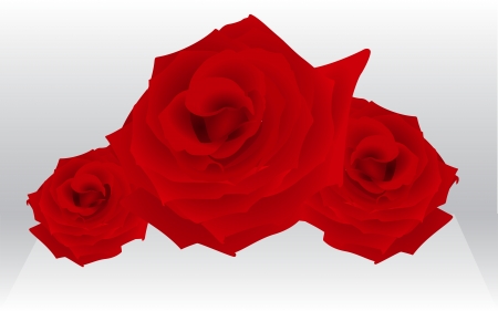three roses for female holiday, fully editable, layeredのイラスト素材