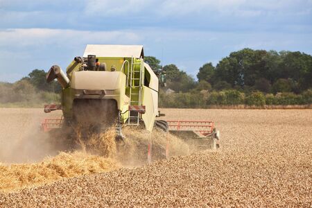 a combine harvestor collecting wheat from a fieldの写真素材