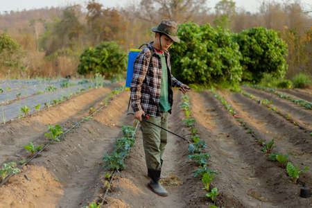 Gardening concept a young male farmer spraying a chemical pesticide for preventing the crops from the pests.の写真素材