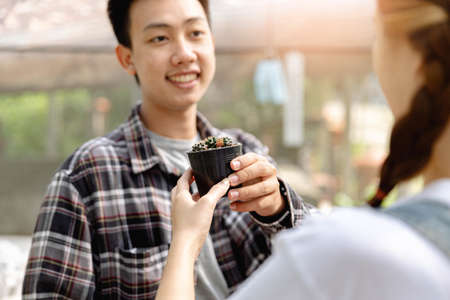 Female gardener concept a couple of gardeners each holding a rectangular plastic pot of mini cactus with the decorating white rocks.の写真素材