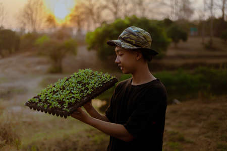 Gardening concept several green plants repotted to bigger-sized spaces to allow the plants to grow larger.の写真素材
