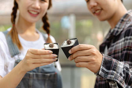 Female gardener concept a couple of gardeners each holding a rectangular plastic pot of mini cactus with the decorating white rocks.の写真素材