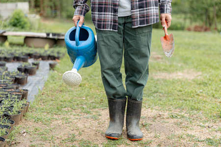 Female gardener concept a gardener holding the blue watering can and metal shovel standing among evergreen vegetable field with a variety of plants.の写真素材