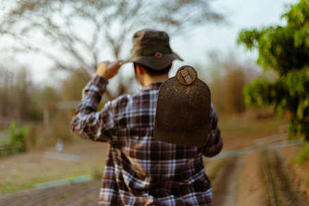 Gardening concept a male farmer carrying a hoe on his shoulder leaving a garden after finishing growing the crops.の写真素材