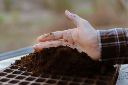 Gardening concept two hand of a gardener inserting rich black soil to nursery trays preparing for growing seedlings.の写真素材