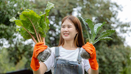 Female gardener concept a young female gardener wearing a pair of orange gloves picking up the stems of the vegetables and looking at them happily.の写真素材