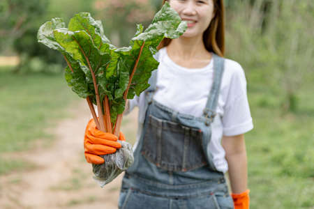 Female gardener concept a young woman looking fun holding the green vegetable, its roots covered by the plastic bag with the soil inside.の写真素材