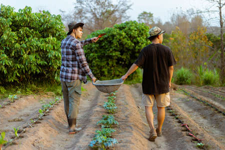 Gardening concept two male gardeners helping each other carrying soil and debris after removing from the plants.の写真素材