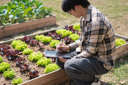 Male gardener writing data on tablet while caring and checking growth vegetables in home garden.の写真素材