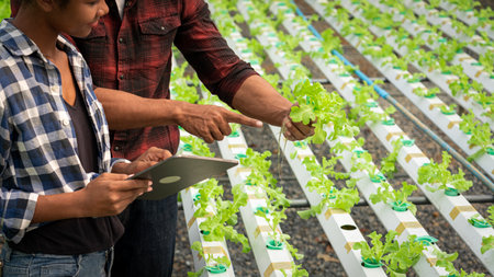 African american couple examines quality of hydroponic vegetable on tablet in hydroponic greenhouse.