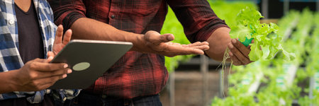 African american couple working on tablet and examine growth of vegetable in hydroponics greenhouse.
