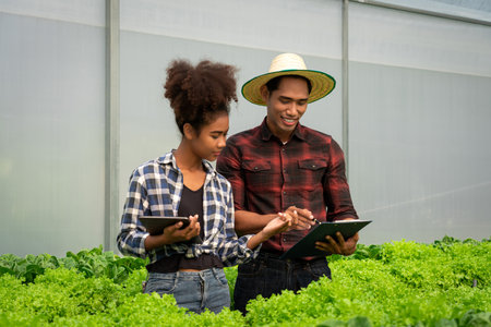 African american couple reading document and examine growth of vegetable in hydroponics greenhouse.の写真素材