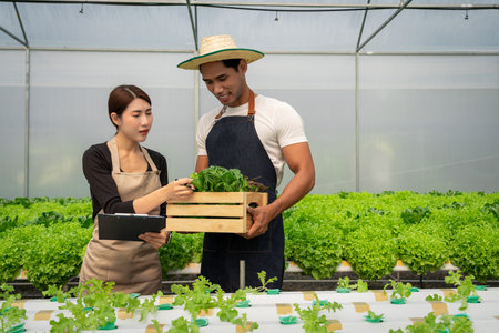 African american couple checking order on clipboard and holding box of salad vegetable hydroponics.