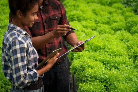 African american couple reading document and examine growth of vegetable in hydroponics greenhouse.の写真素材