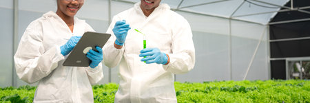Two scientists working on tablet and holding test tube to researching about hydroponics vegetables.の写真素材