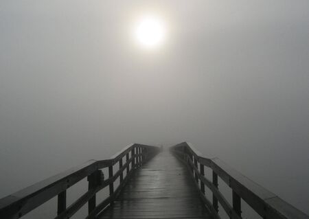 Into The Fogの写真素材