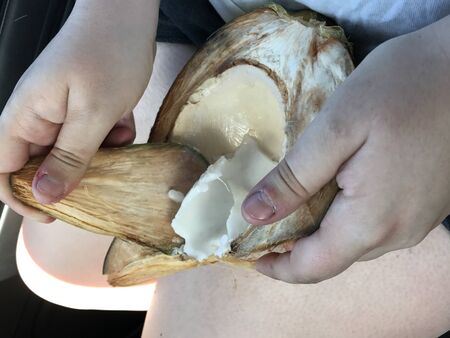 Eating Fresh Coconutの写真素材