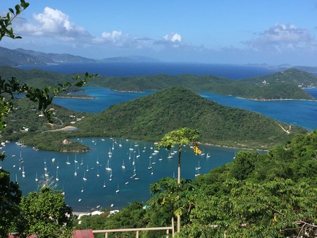 Boats In the Harborの写真素材