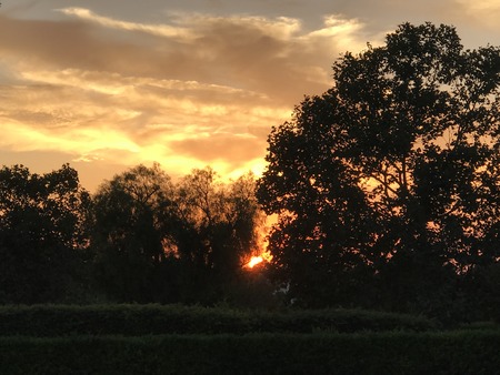 Orange Sunset In Californiaの写真素材