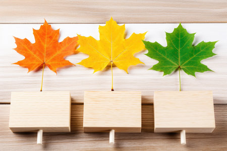 Wooden clothespins with autumn leaves on a white wooden background.の素材