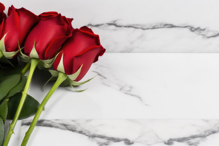 Red roses on a white marble background with copy space for your textの素材