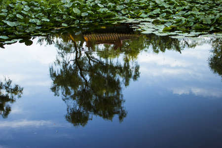A reflection of a beautiful blue sky and a Chinese Pavilion at the Ming Xiaoling Tomb in Nanjing Chinaの写真素材
