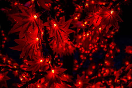 Red Decorative Leaf LED Christmas Lightsの写真素材